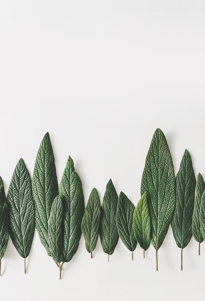 시작하는 그마음 그대로 행복할 수 있도록...